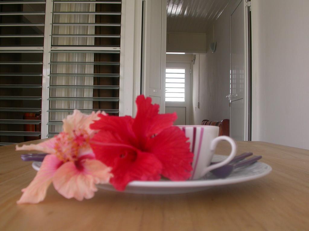 생트안느 Maison De Vacances A St Anne Martinique 빌라 외부 사진